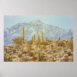 Poster Parque Nacional Saguaro