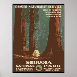 Poster Parque Nacional Sequoia