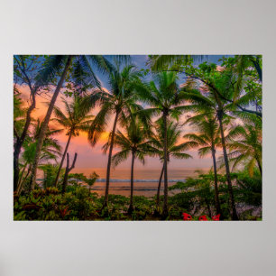 Poster Parque nacional tropical da praia   Corcovado