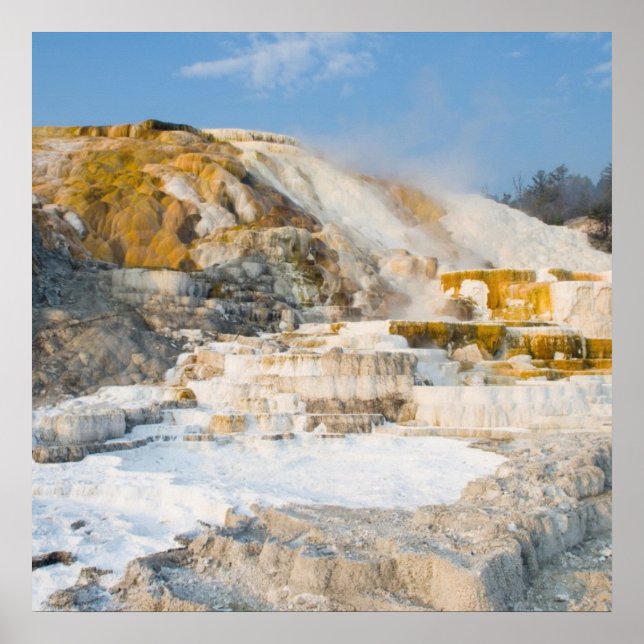 Poster Parque Nacional Yellowstone (Frente)