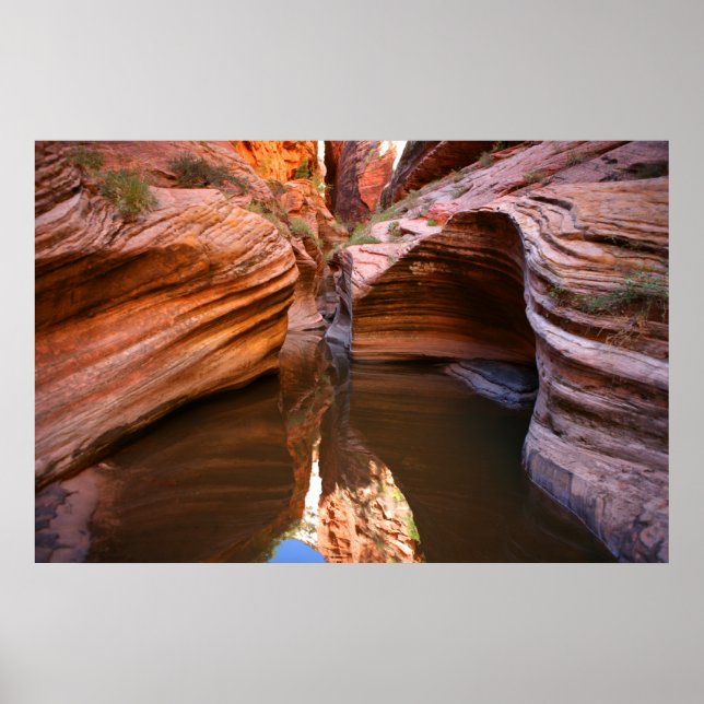 Poster parque nacional zion (Frente)