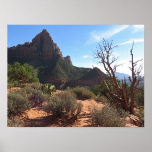 Poster Parque Nacional Zion