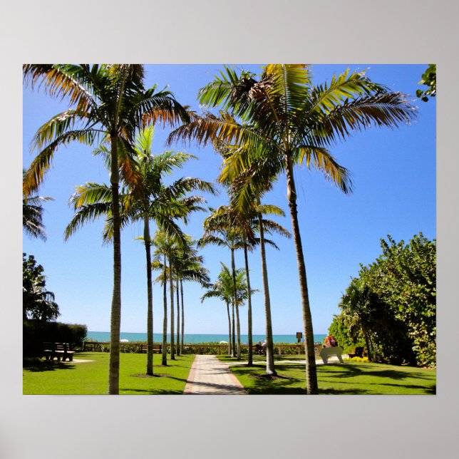 POSTER PARQUE TROPICAL DA FLORIDA BEACH PALM TREE (Frente)