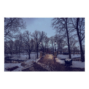 Póster Parque urbano nevado no inverno à noite