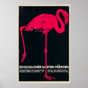 Poster Parque Zoológico de Munique - Flamingo Rosa - Vint