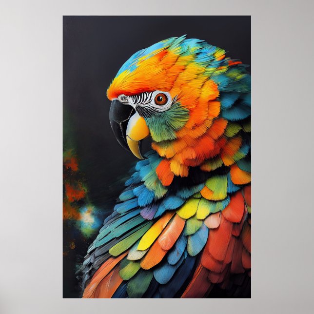 Poster Parrot Bird Discovery Natureza da Aventura (Frente)