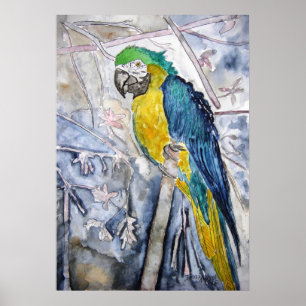 Póster parrot_bird_painting