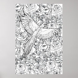 Poster Parrot Clarity