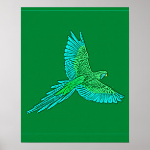 Póster Parrot in Flight, Jade Green and Turquoise