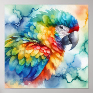Poster Parrot Watercolor