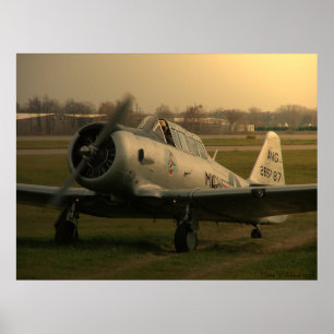 Póster Partida do Texan