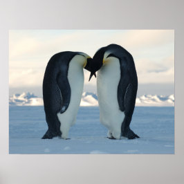 Poster Partido de Aniversário do Ártico Pinguim Chá Desti