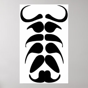 Poster Partido Mustache