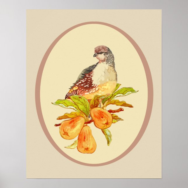 Póster Partridge in a Pear Tree Christmas Cote (Frente)