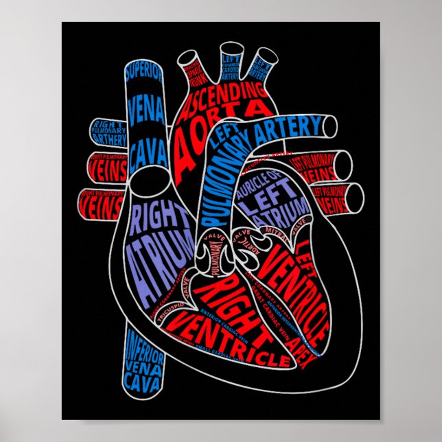 Poster Parts Of Heart Anatomical Heart Gift For Cardiolog (Frente)