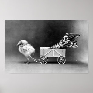 Póster Páscoa vitoriana