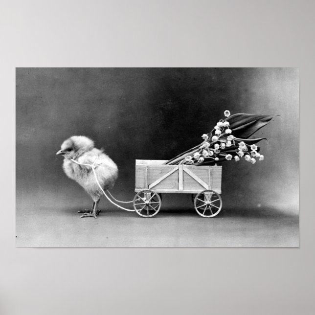 Póster Páscoa vitoriana (Frente)