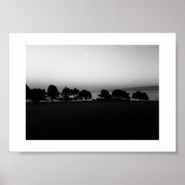 Poster Passando árvores no Canadá - Fotografia branca e n