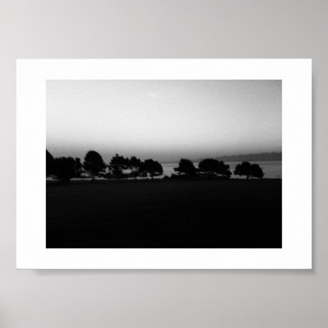 Poster Passando árvores no Canadá - Fotografia branca e n (Frente)