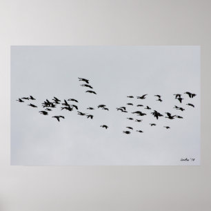 Póster Passando por 1