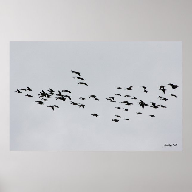 Póster Passando por 1 (Frente)