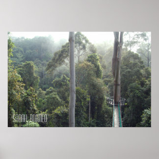Poster Passarela de Copas das Árvores da Floresta Tropica