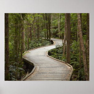 Poster Passarela para Nelson Falls, Franklin - Gordon