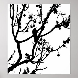 Póster Passarinho 4