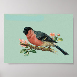 Poster Pássaro