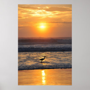 Poster Pássaro alaranjado do nascer do sol da praia que