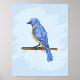 Póster Pássaro Azul