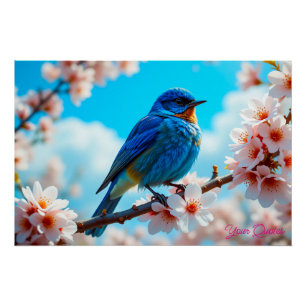 Póster Pássaro Azul Azure em Galho de Flor de Cerejeira