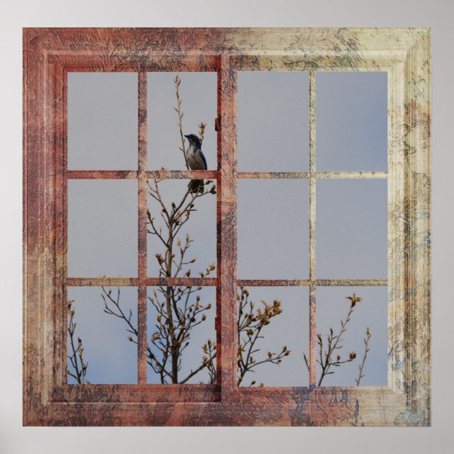 Póster Pássaro Azul na Janela (Frente)