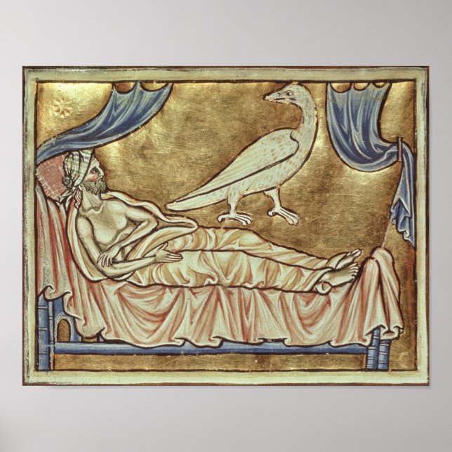 Poster Pássaro Caladrius, repugnado a contar (Frente)