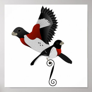 Poster Pássaro Cardinal Grosbeak de Rosa