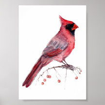 Pássaro Cardinal Vermelho