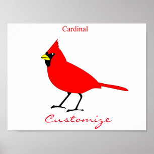 Poster Pássaro cardinal vermelho Thunder_Cove
