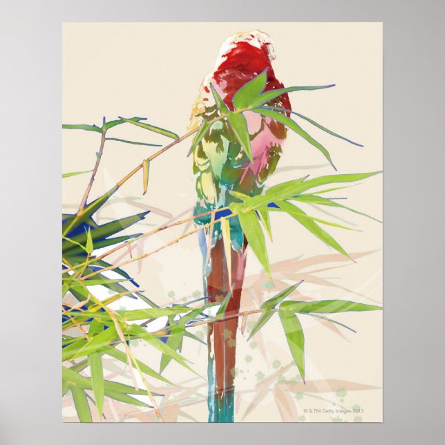 Poster Pássaro com Folhas de Bambu (Frente)