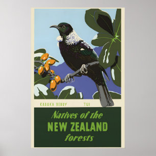 Poster Pássaro da Floresta da Nova Zelândia Baga Karaka A
