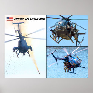 POSTER PÁSSARO DE BAIXO MH/AH-6M