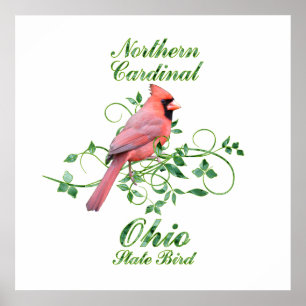 Póster Pássaro de estado cardinal de Ohio