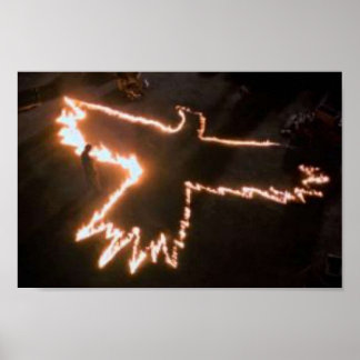 Poster Pássaro de Fogo