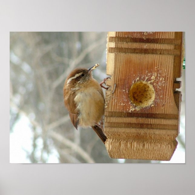 Póster Pássaro de manteiga de amendoim (Frente)