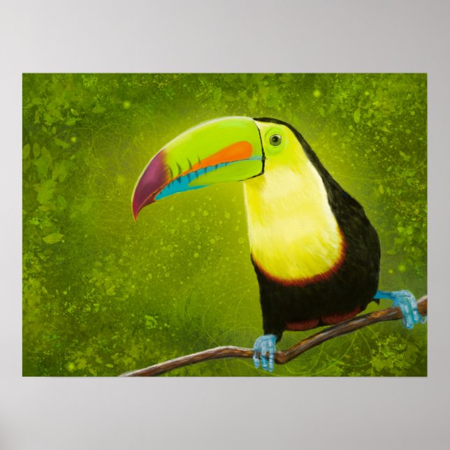 Poster Pássaro de Toque da Selva Tropical de Pintura Digi (Frente)