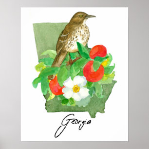 Poster Pássaro do Estado da Geórgia Tordo-marrom