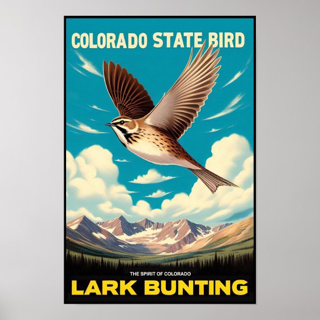 Poster Pássaro do Estado do Colorado - Lark Bunting Vinta (Frente)