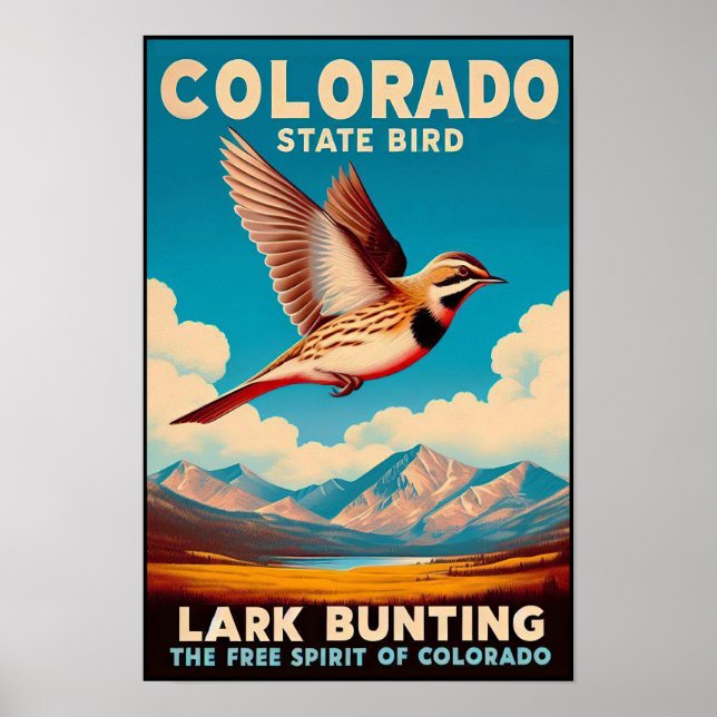 Poster Pássaro do Estado do Colorado - Lark Bunting Vinta (Frente)