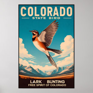 Poster Pássaro do Estado do Colorado - Lark Bunting Vinta