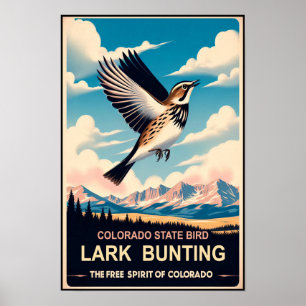 Poster Pássaro do Estado do Colorado - Lark Bunting Vinta