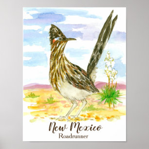Póster Pássaro do Novo México no Roadrunner